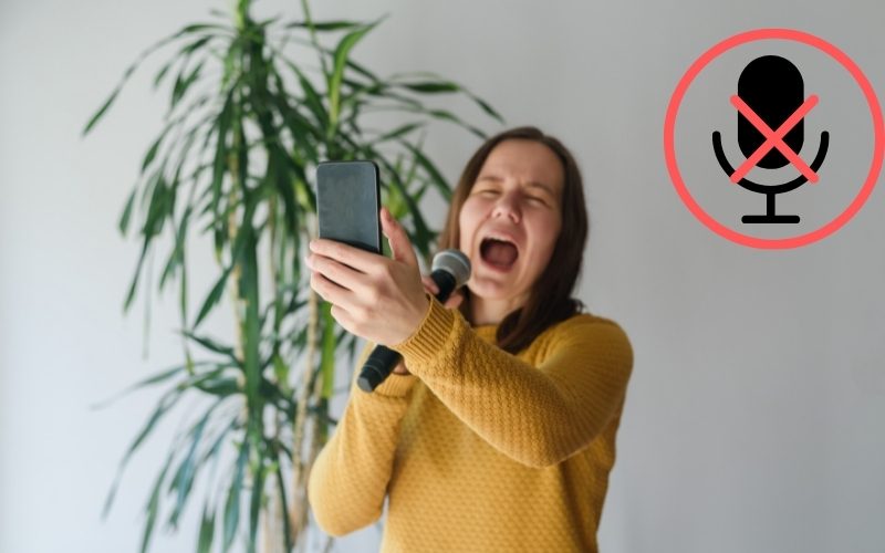 Khi d&ugrave;ng loa ngo&agrave;i để gọi th&igrave; mic của bạn kh&ocirc;ng hoạt động